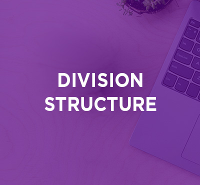 Division Structure